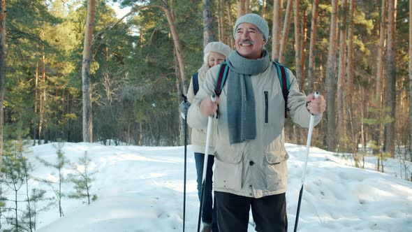 Senior Man and Woman with Ski Poles Enjoying Nordic Walking in Park on Winter Day