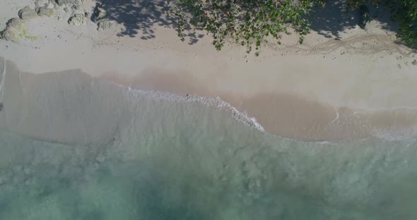 Aerial shot with upward flight highlighting the waves of the beach and the vegetation of an island i