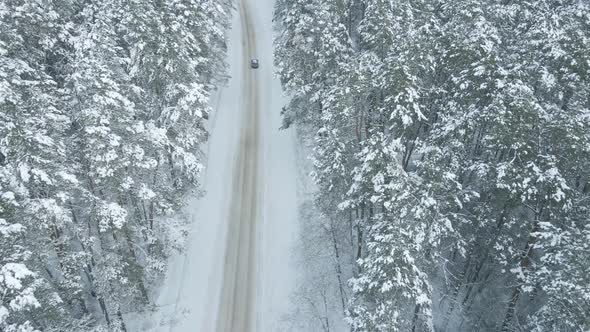 Car Driving on Snow Road Through Winter Forest Aerial View