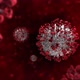 Fictional Image of Coronavirus Infection Looped - VideoHive Item for Sale