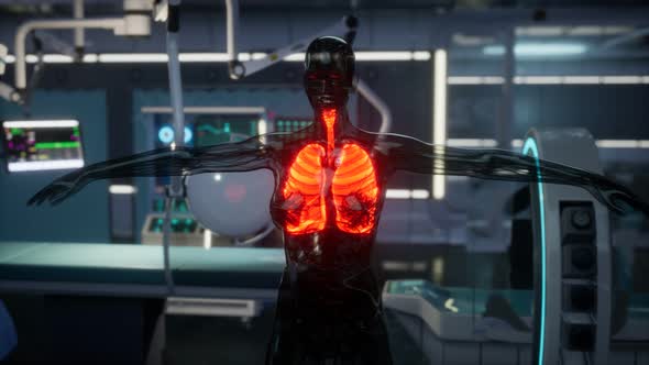 Human Lungs Radiology Exam in Laboratory alt