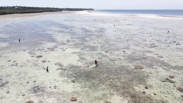 View From a Height of the Indian Ocean Near the Coast of Zanzibar Tanzania