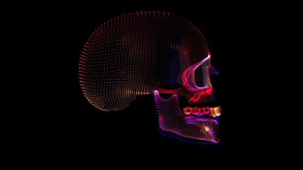 Neon Skull VJ - Rotation