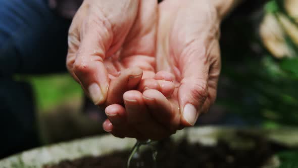 Woman sowing seeds in the garden