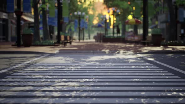 Quiet City Park with Trees and Benches