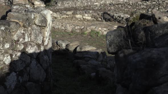 ancient celtic fort stones