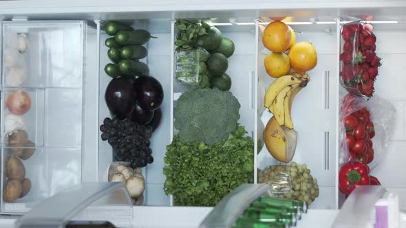 Vertical Shoot of Fridge or Refrigerator Full of Fresh Organic Vegetables and Fruits