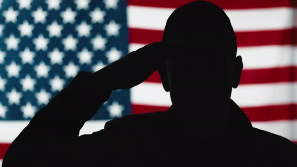 American Veteran Salutes