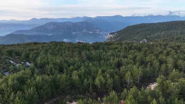 Mountain road in the forest aerial view 4 K