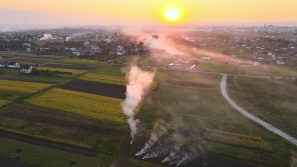 Aerial View of Agricultural Waste Bonfires From Dry Grass and Straw Stubble Burning with Thick Smoke