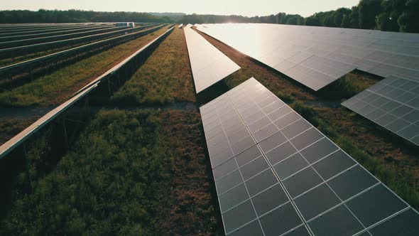 Aerial View Solar Power Station on Green Field at Sunset Solar Panels in Row