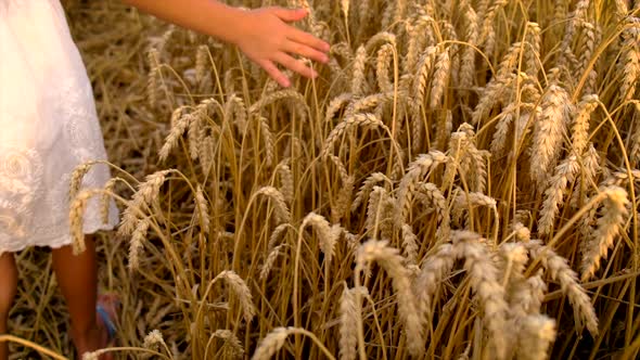 A Child in a Wheat Field