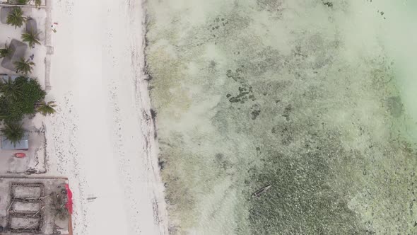 Vertical Video of the Ocean Near the Coast of Zanzibar Tanzania Aerial View