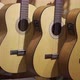 Acoustic guitars. Lots of new acoustic guitars are in music store - VideoHive Item for Sale