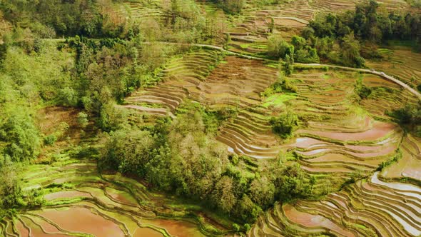 Aerial shot of the famous terraced rice fields of Yuanyang County China