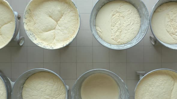 Closeup Video of Yeast Dough in Production.