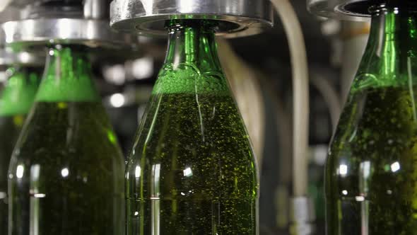 Bottling of Beverages Carbonated Lemonade Soda or Beer Into Glass Bottles