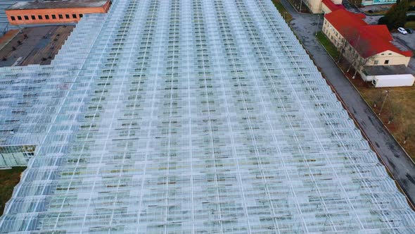 Flying over a large greenhouse with vegetables.