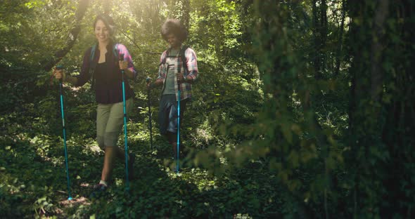 Two People Couple Man and Woman Hiking or Nordic Walking Outdoor on a Trail Path Through Forest