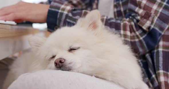 Woman cuddling her pomeranian dog