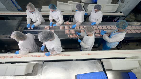 Top View of Factory Staff Processing and Relocating Fish Sticks