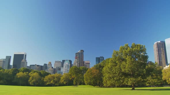 Sunny Day in Central Park