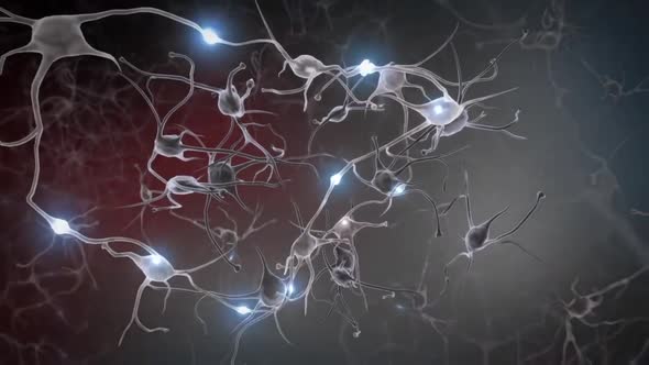 3D Animated central nervous system. Brain and Neuron.