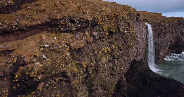 Scotland Fowlsheugh, Natural Landscapes