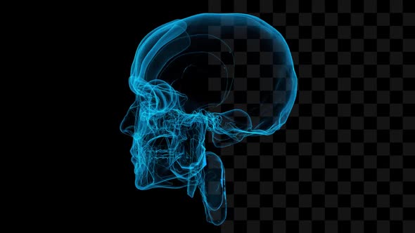 3d Hologram of Human Head alt