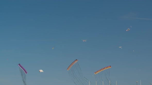 Group of kites performing in the air on Wind Festival, Valencia