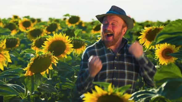 Amusing Pretty Senior Bearded Happy Farmer Dancing in the Sunflower Field at Sunset