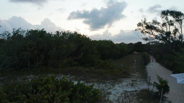 Multistorey Buildings Surrounded By Forested Area