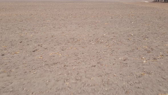 Land in a Plowed Field in Autumn