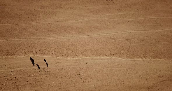 Aerial shot of a family crossing the hot dry desert, Jordan. 4K