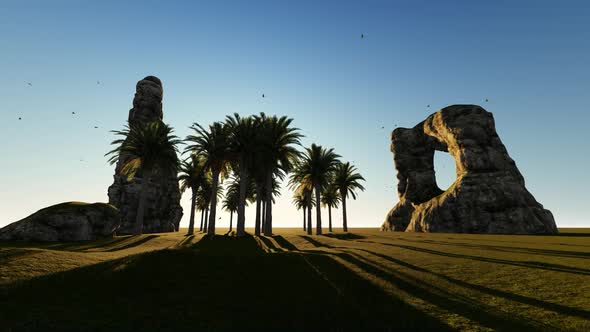 Sunrise with the Palm and its Shades alt