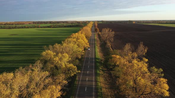 The Rural Modern Road with Fallen Leaves in Autumn at the Evening