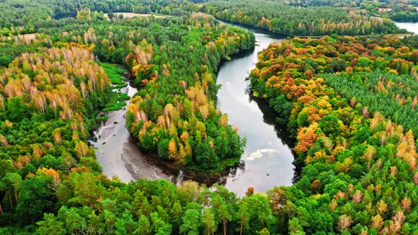 Colorful autumn forest and turning river, aerial view of Poland