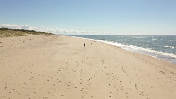 Father is looking after his doughter with her dog on the beach