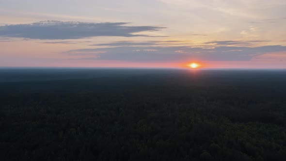 Aerial Timelapse Hyperlapse Summer Morning in Forest