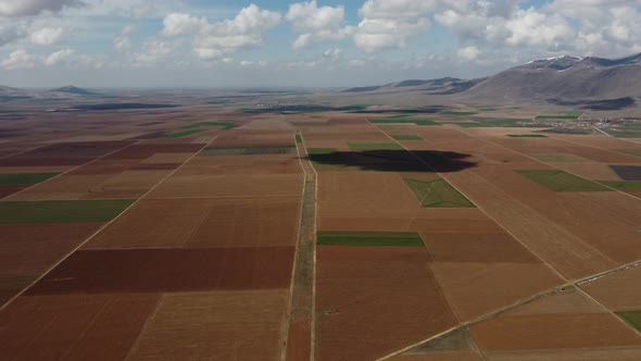 Cloudy Day in Vast Farmland