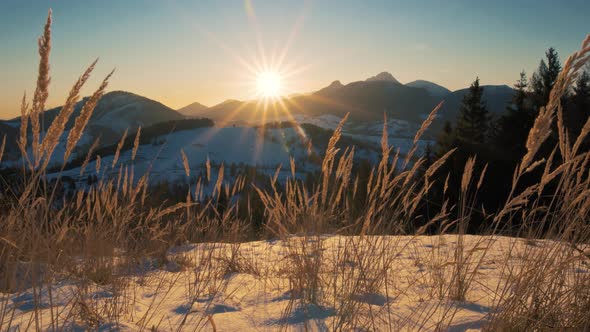 Beautiful Sunny View at Sunrise in Winter Alps Mountains