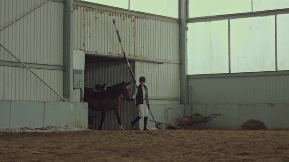 Rider takes the horse to the paddock