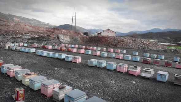 Aerial view on colorful hives in field.