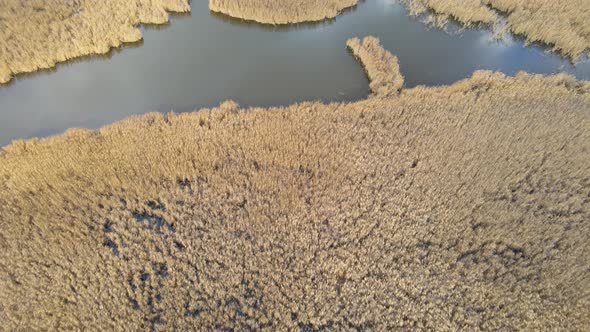 lake and reeds in autumn, Igneada, Turkey