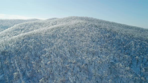 Aerial Winter Mountain Landscape of a Frozen Forest with Snow and Ice Covered Trees on a Sunny