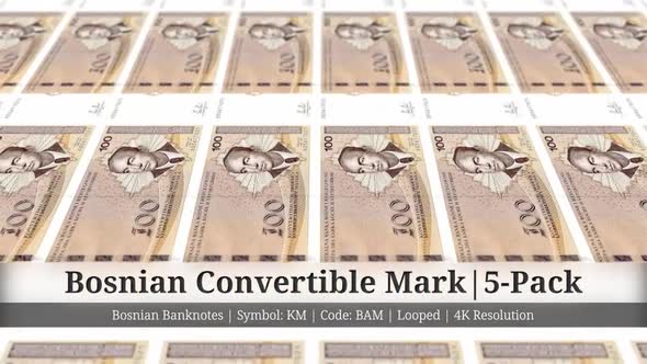 Bosnian Convertible Mark | Bosnia and Herzegovina Currency - 5 Pack | 4K Resolution | Looped