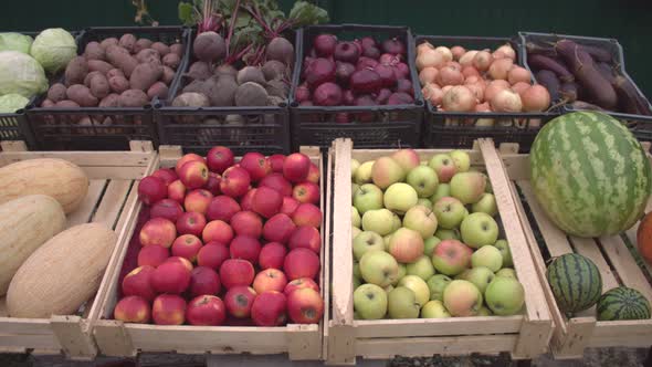 Vegetables and Fruits on the Market Counter.