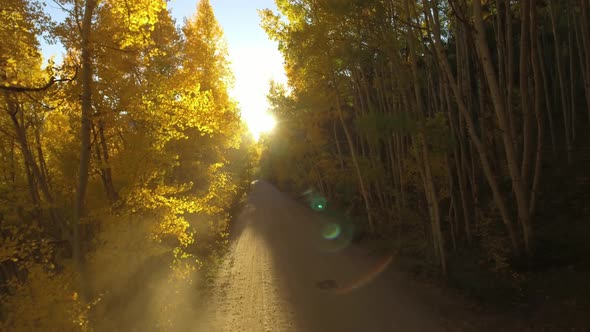 Fall colors on Boreas Pass, Colorado