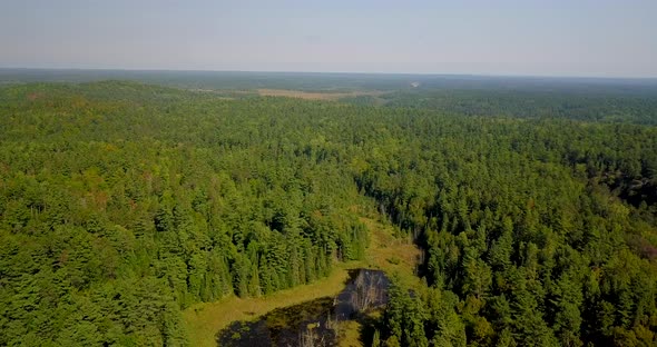 Beautiful 4K aerial shot of a forest and swampy river in Ontario, Canada