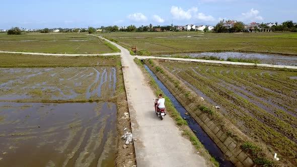 Male and female tourist caucasian couple riding a moped along rice paddies in the farm fields, Aeria
